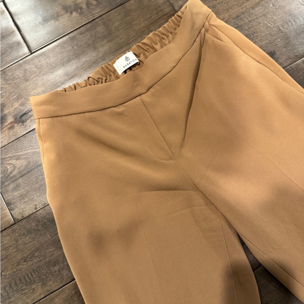 Aritzia Conan Pant